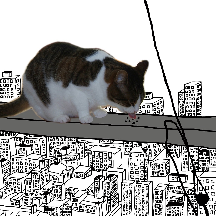Combination of a photograph and a drawing of my cat Izzi who eats from a skyscraper